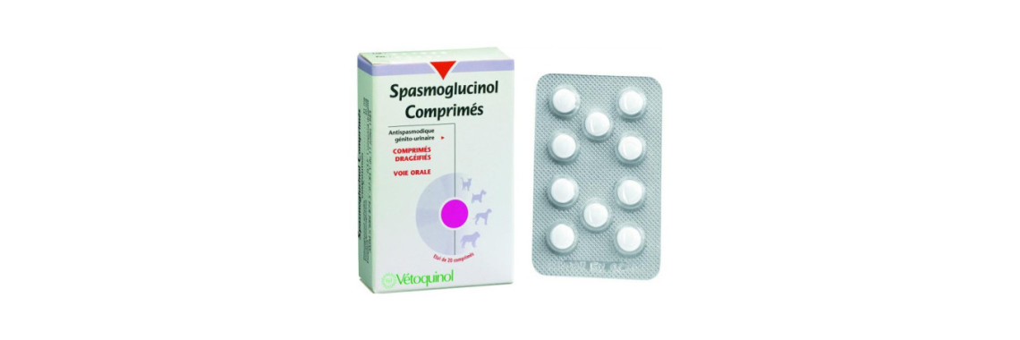 Spasmoglucinol chat