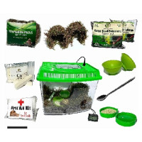 vivarium escargot vivarium escargot