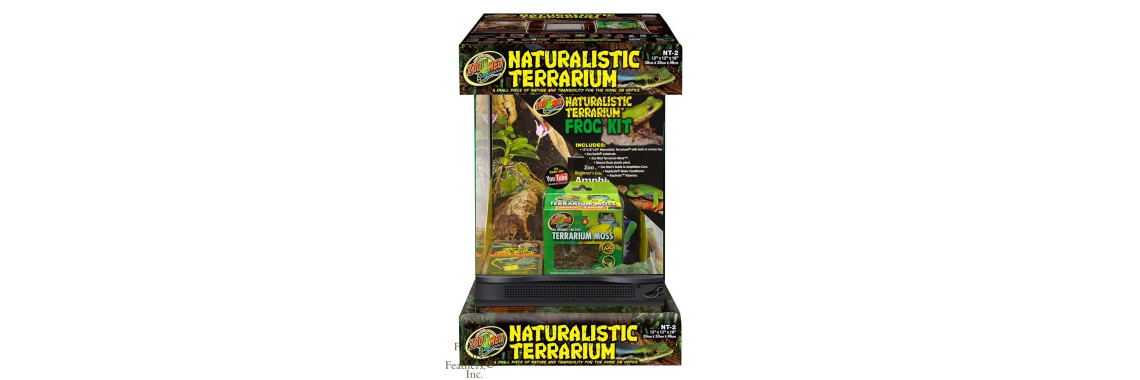 vivarium grenouilles