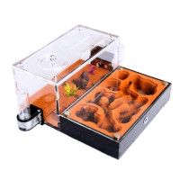 vivarium pour fourmis