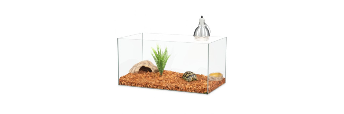 vivarium tortue de terre​