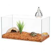 vivarium tortue de terre​